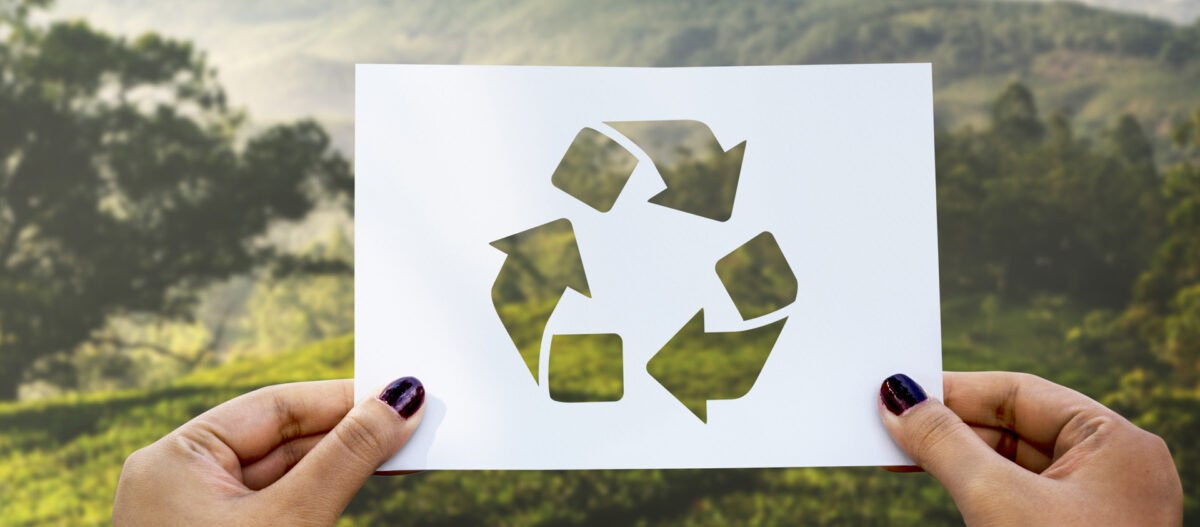 Fruta cortada preparada para comer