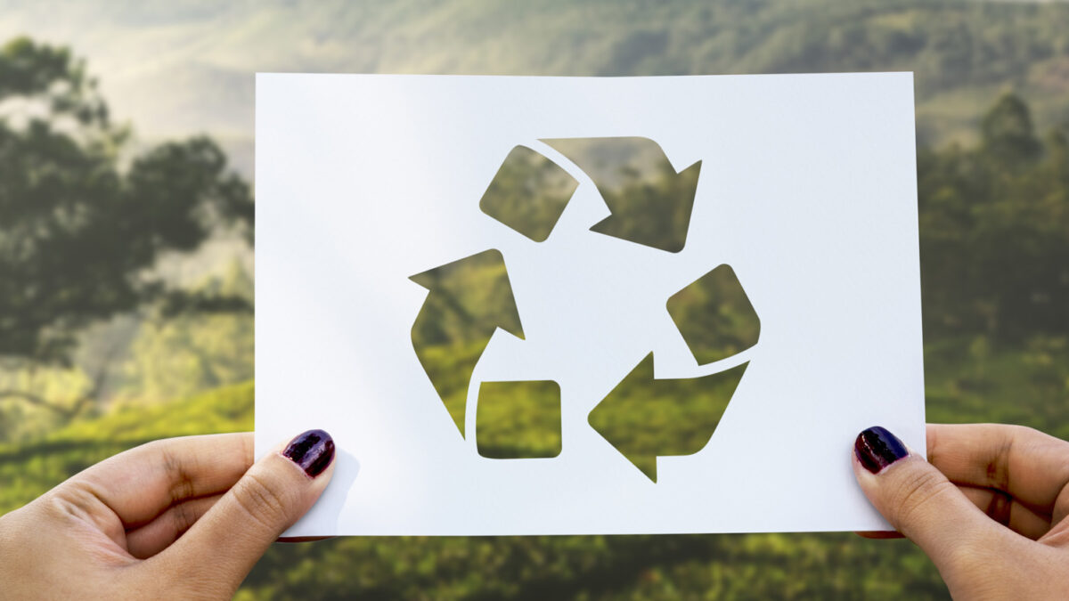 Fruta cortada preparada para comer