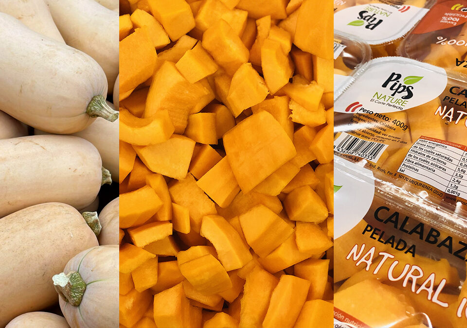 Diferentes tipos de calabaza
